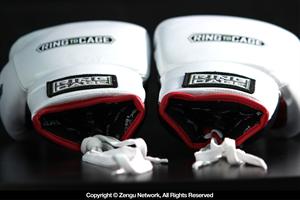 MiM Foam Sparring Gloves (Lace Up)